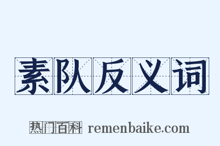 素队反义词是什么意思的图片